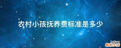农村小孩抚养费标准是多少