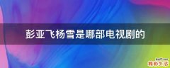 彭亚飞杨雪是哪部电视剧的