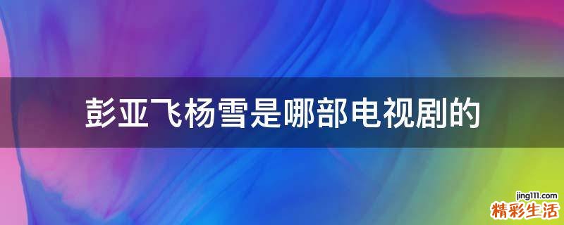 彭亚飞杨雪是哪部电视剧的