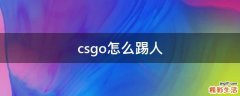 csgo怎么踢人