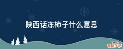 陕西话冻柿子什么意思