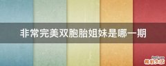非常完美双胞胎姐妹是哪一期