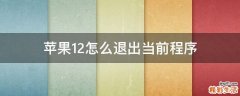 苹果12怎么退出当前程序
