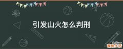 引发山火怎么判刑