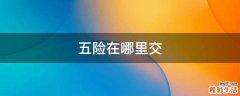 五险在哪里交