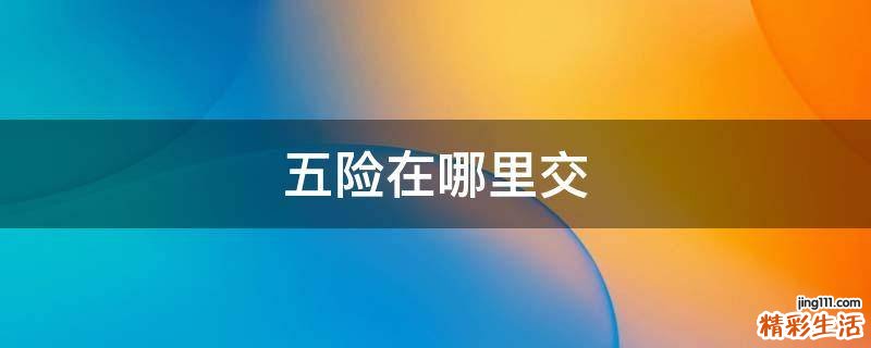 五险在哪里交