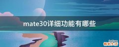mate30详细功能有哪些