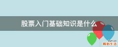 股票入门基础知识是什么