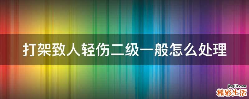 打架致人轻伤二级一般怎么处理