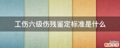 工伤六级伤残鉴定标准是什么
