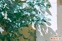 大暑时间2023几点几分