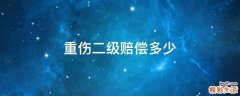 重伤二级赔偿多少