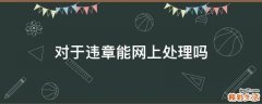 对于违章能网上处理吗