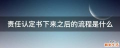 责任认定书下来之后的流程是什么