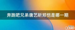 奔跑吧兄弟唐艺昕郑恺是哪一期