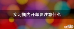 实习期内开车要注意什么