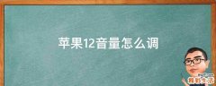 苹果12音量怎么调