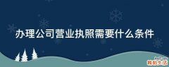 办理公司营业执照需要什么条件