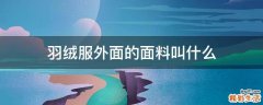 羽绒服外面的面料叫什么