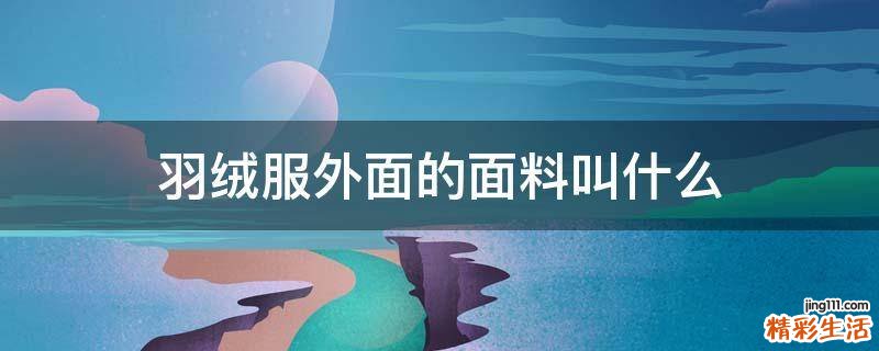 羽绒服外面的面料叫什么