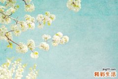 【如何去屑】去屑的小妙招
