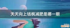 天天向上钱枫减肥是哪一期