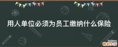 用人单位必须为员工缴纳什么保险