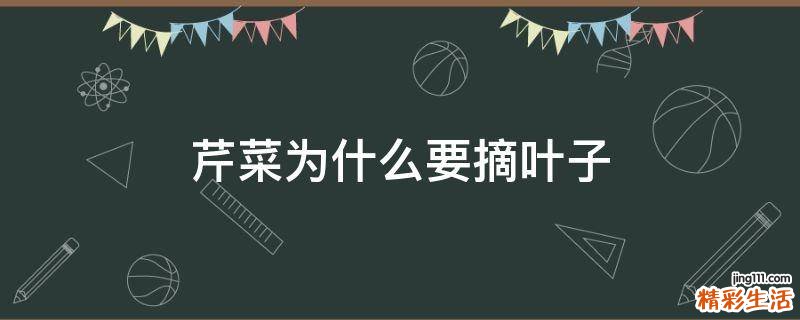 芹菜为什么要摘叶子