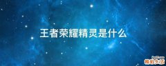 王者荣耀精灵是什么