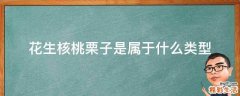 花生核桃栗子是属于什么类型