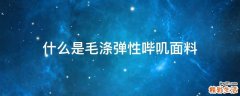 什么是毛涤弹性哔叽面料