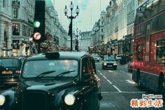 3 叶上珠根