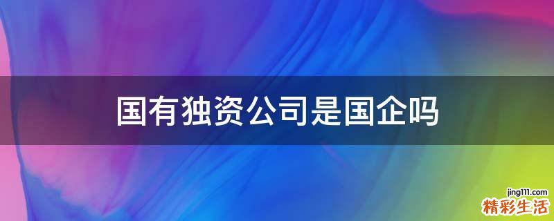 国有独资公司是国企吗