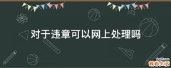 对于违章可以网上处理吗