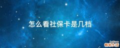 怎么看社保卡是几档