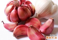 大蒜擦脚能治脚气吗 醋泡大蒜能治脚气吗