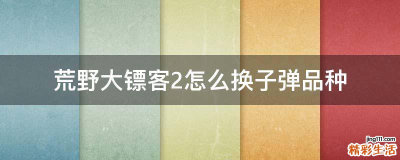 荒野大镖客2怎么换子弹品种