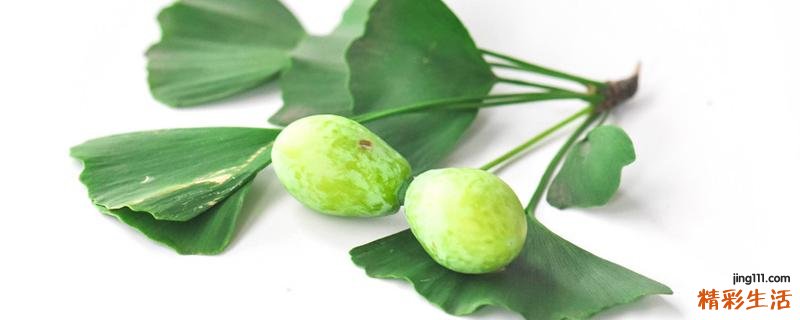 白果可以治脚气吗 白果治脚气的方法