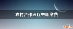 农村合作医疗去哪缴费