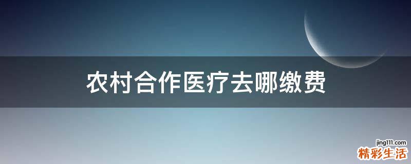 农村合作医疗去哪缴费
