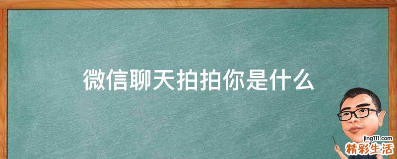 微信聊天拍拍你是什么