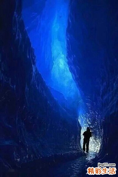 血浆凝血因子Ⅴ活性测定
