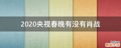 2020央视春晚有没有肖战