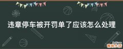 违章停车被开罚单了应该怎么处理