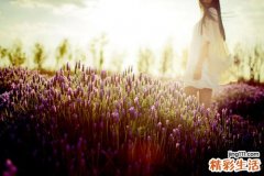 辣根菜