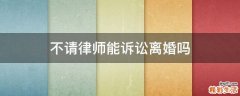 不请律师能诉讼离婚吗