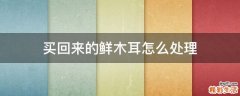 买回来的鲜木耳怎么处理