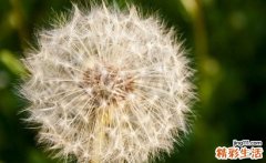颈椎关节的根性疼痛是怎么回事？