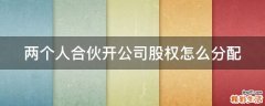 两个人合伙开公司股权怎么分配