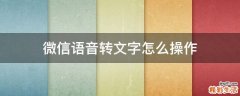 微信语音转文字怎么操作